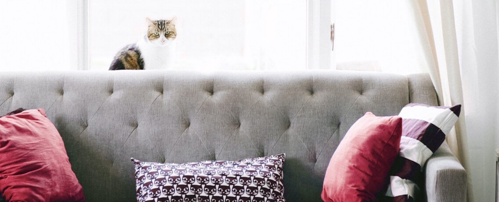 Available homes header