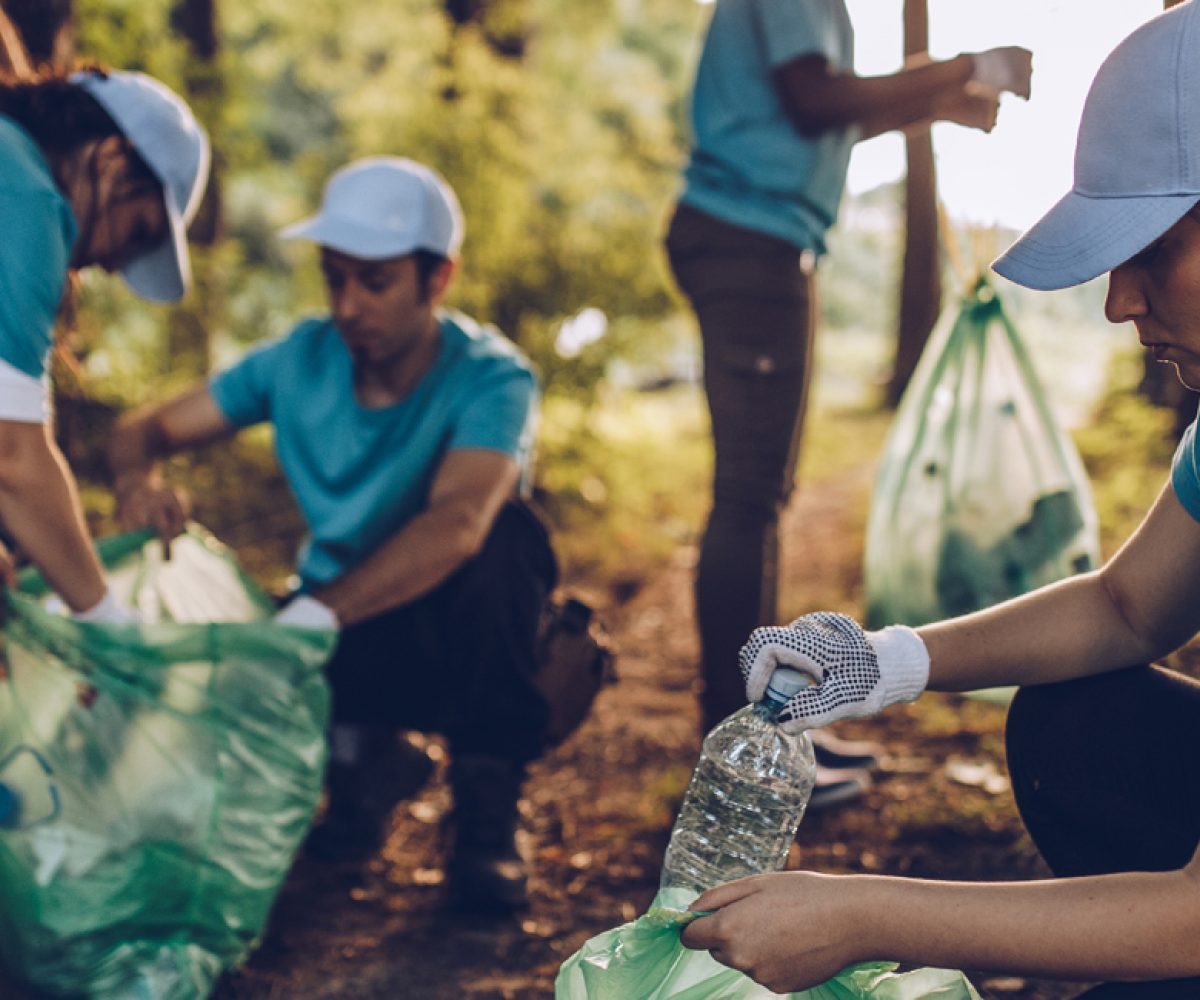 Stock litter picking
