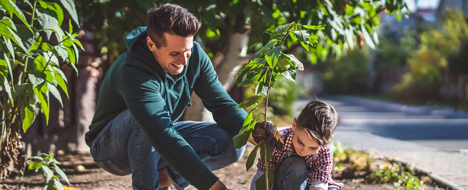 Stock community planting tree