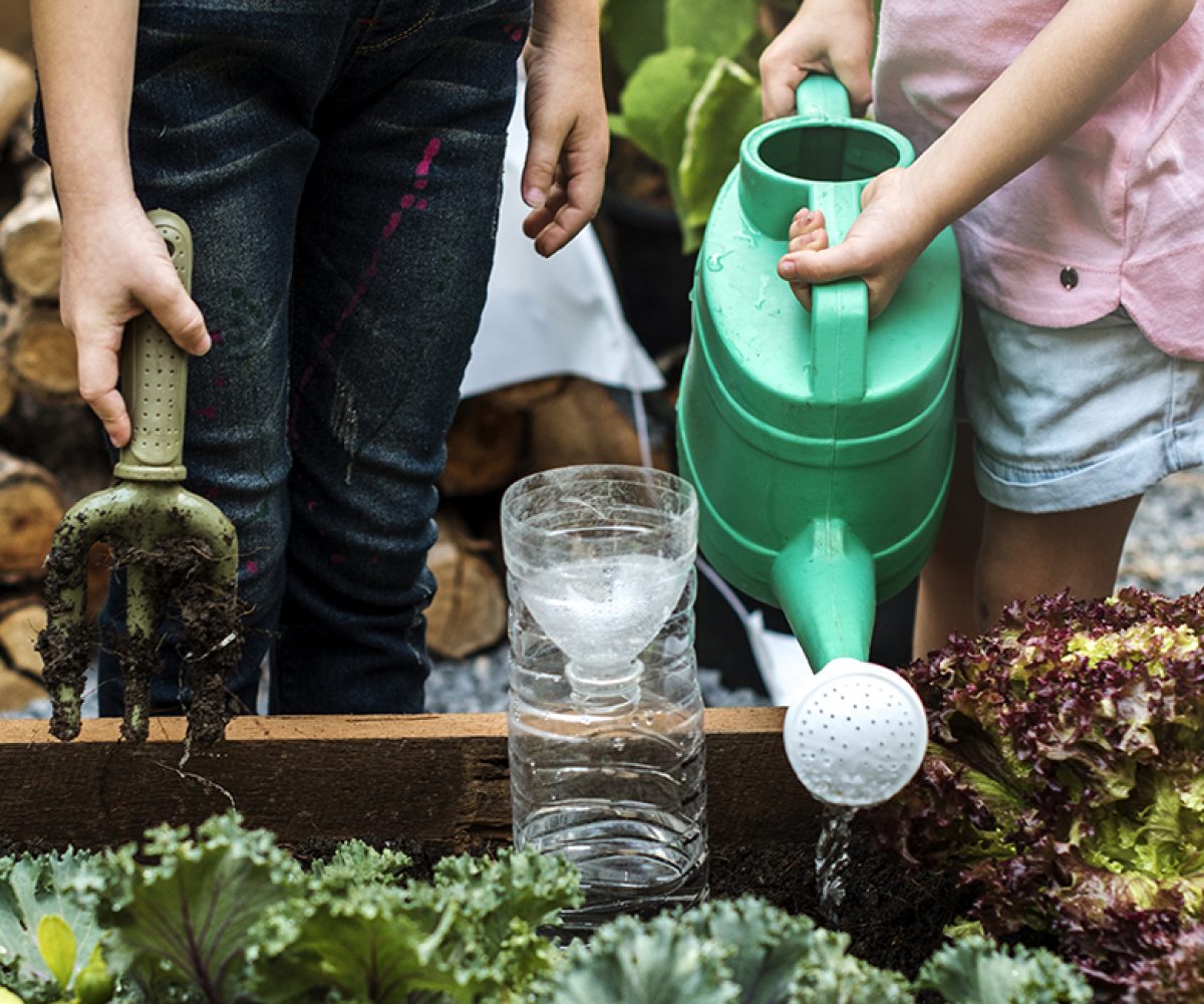 Stock community garden