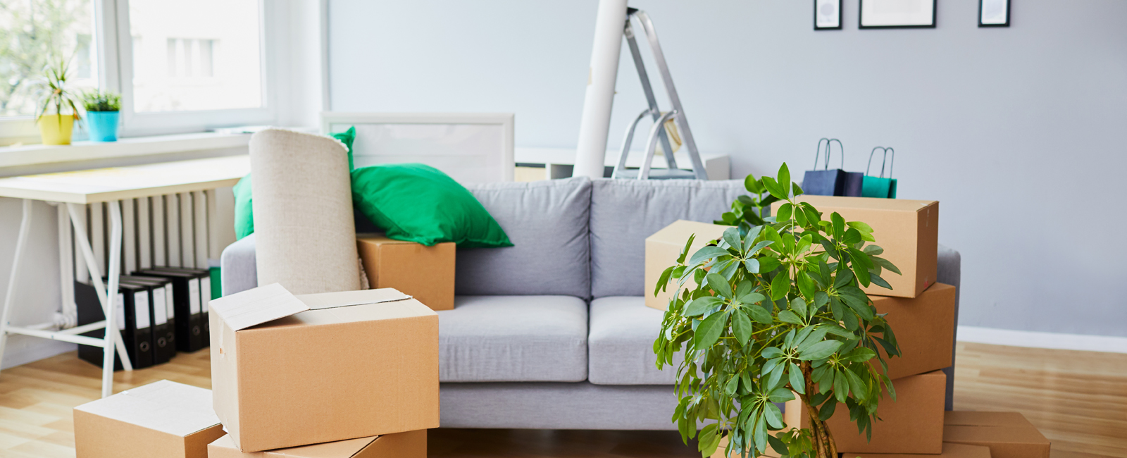 Finding a smaller home
