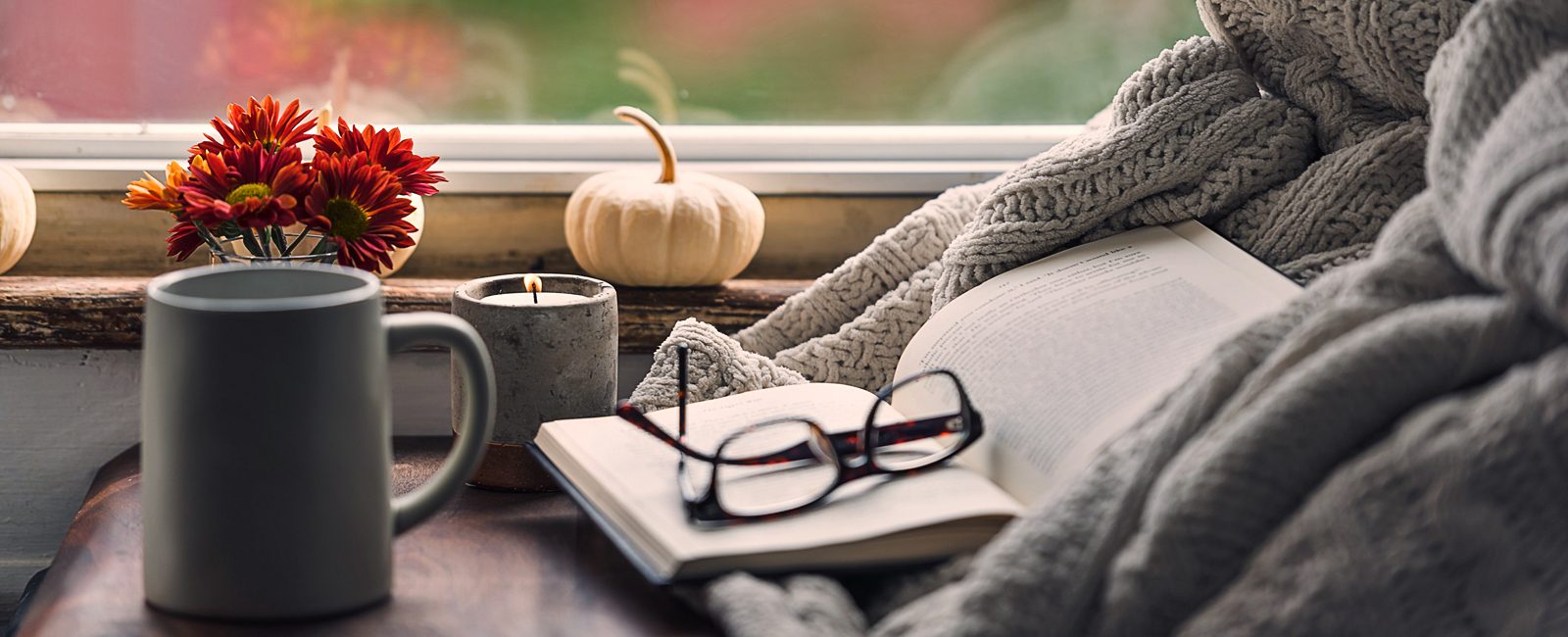 Stock pumpkin book glasses