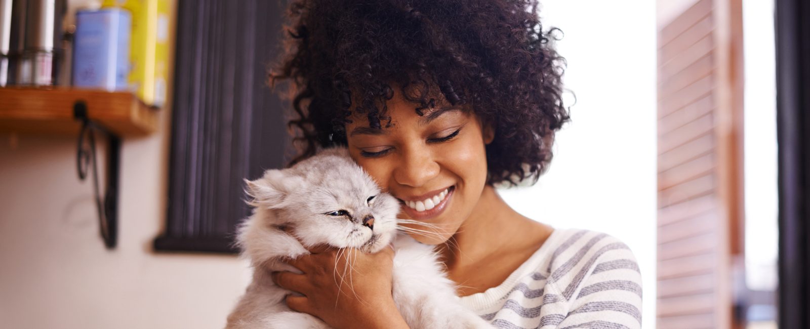 Stock woman cuddling cat